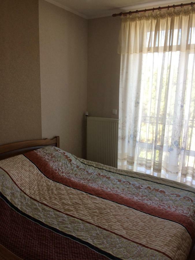 Hotel Paulina Falesti Buitenkant foto